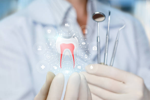 Best Preventive Dentistry  in Rainbow City, AL